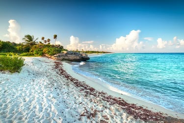 Playa del Carmen
